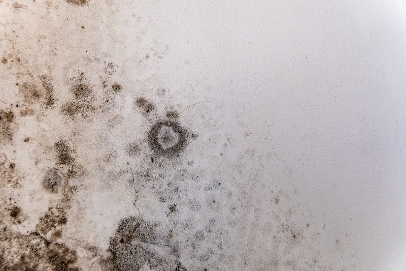 Close up shows dark spots and circles of mold growing on a painted white wall, indicating moisture and poor ventilation within the room.