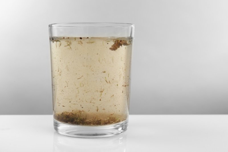 Glass of contaminated water on grey background backflow prevention