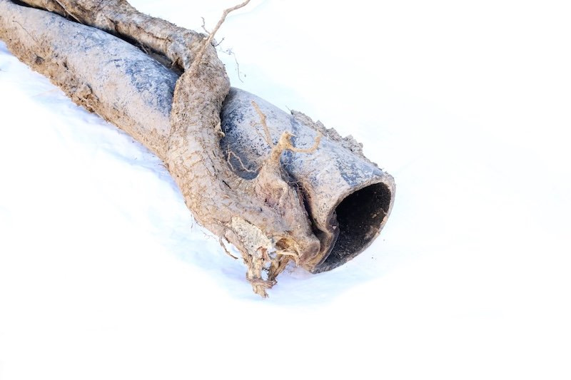 When Is Sewer Line Replacement the Better Option?