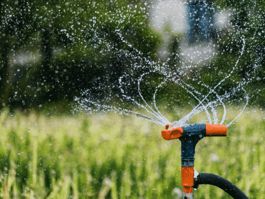 sprinkler with backflow prevention installed